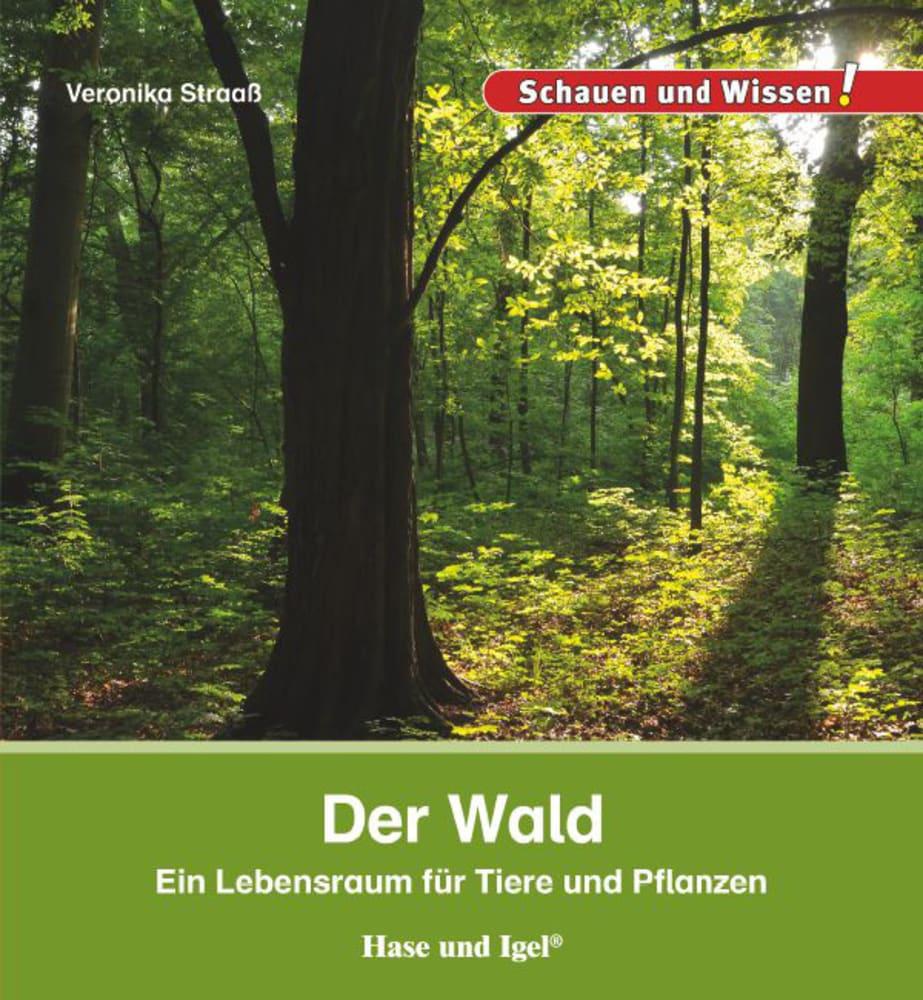 Der Wald