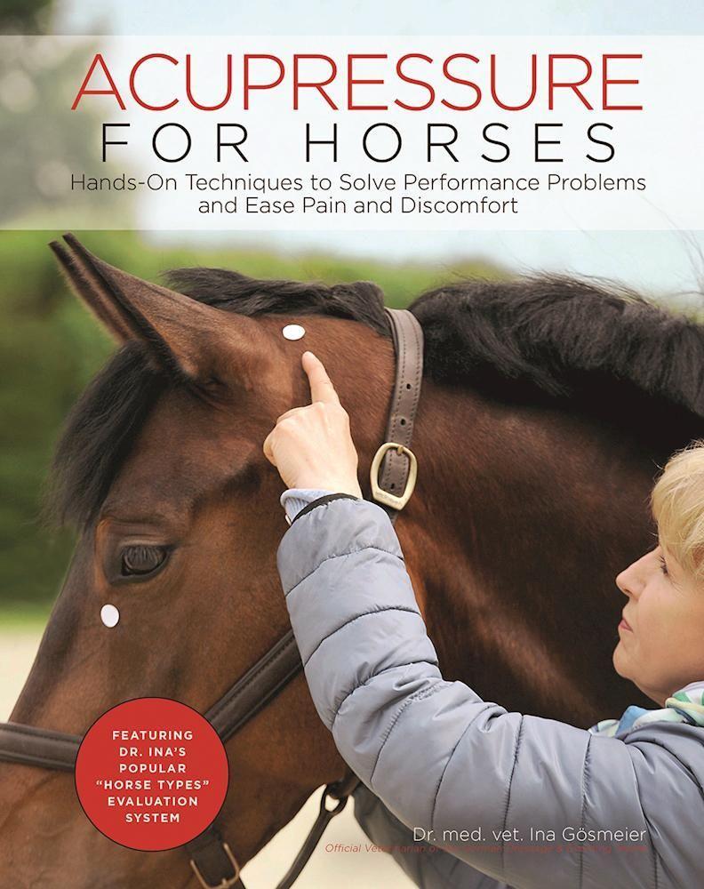 Acupressure for Horses