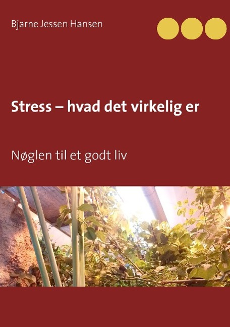 Stress ¿ hvad det virkelig er