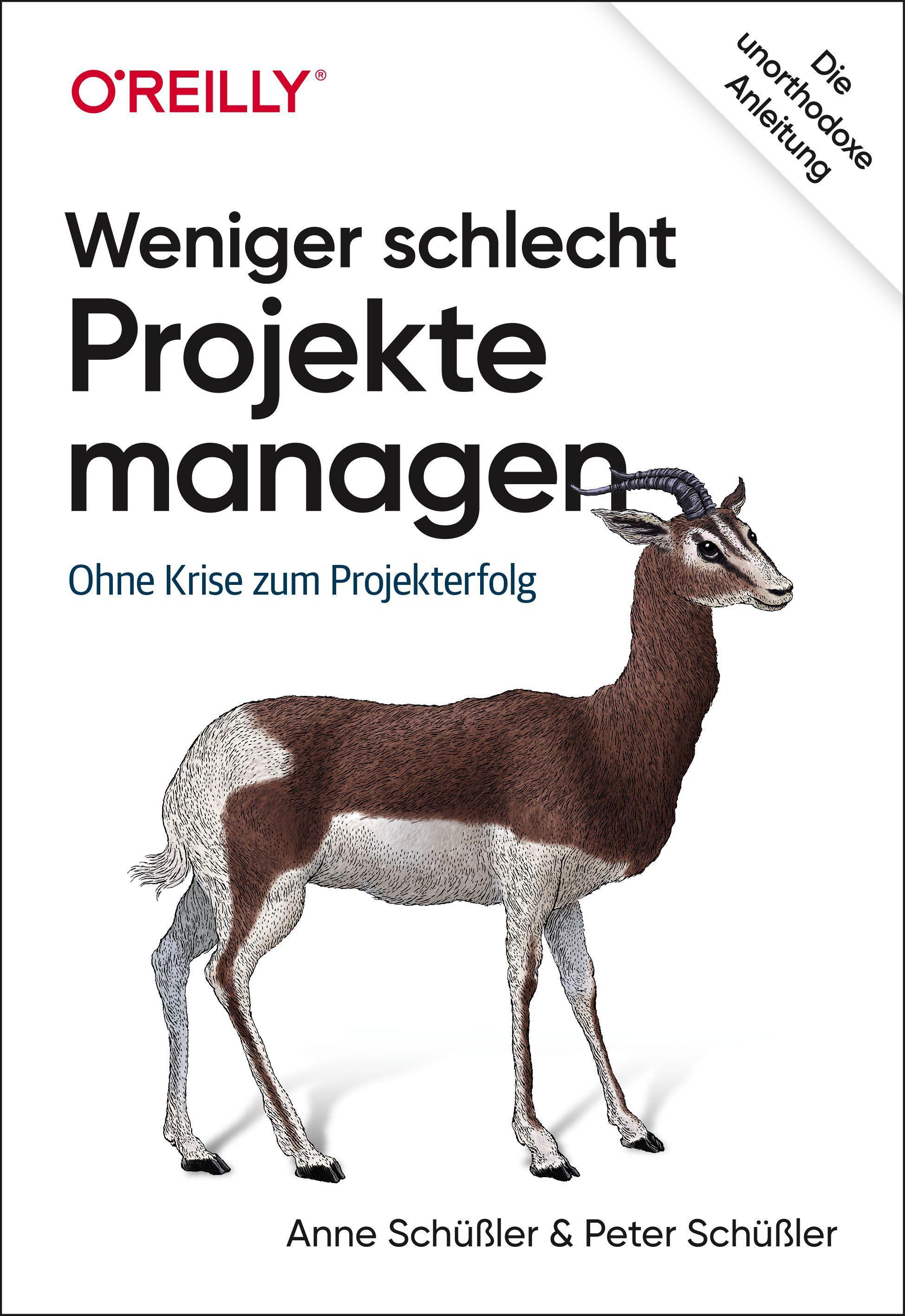 Weniger schlecht Projekte managen