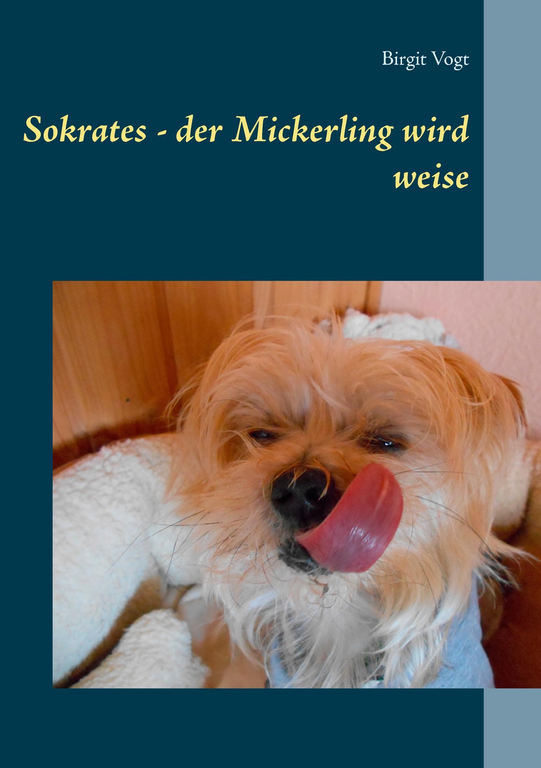 Sokrates - der Mickerling wird weise