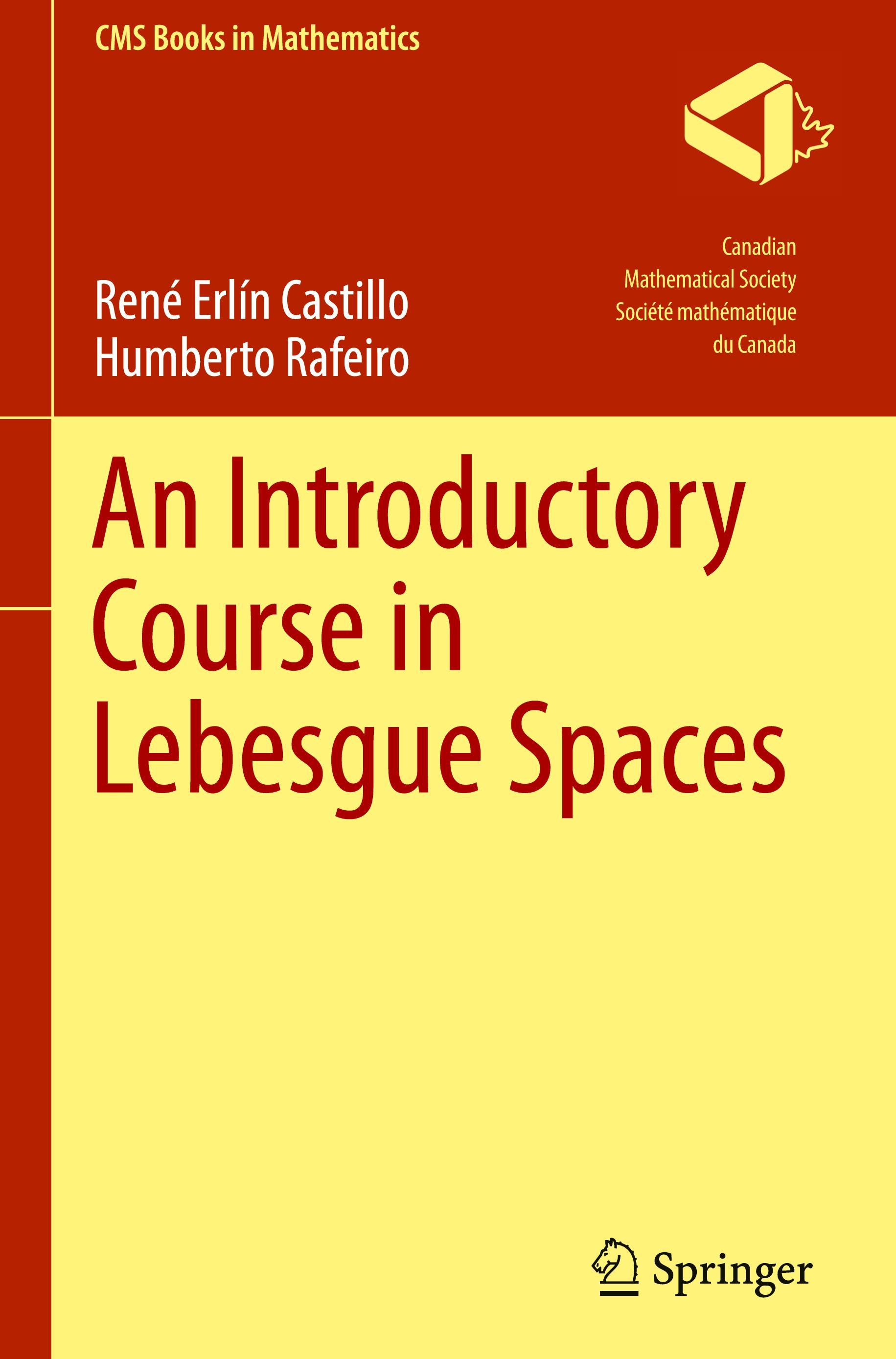 An Introductory Course in Lebesgue Spaces