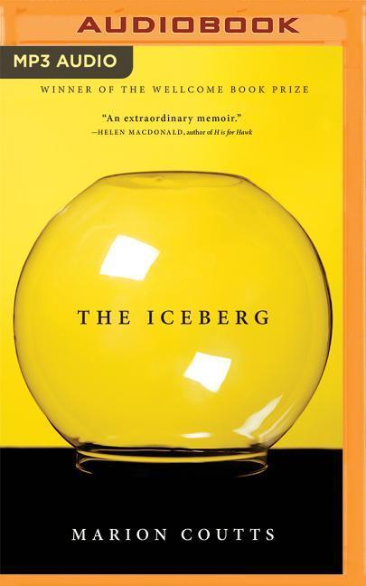 The Iceberg