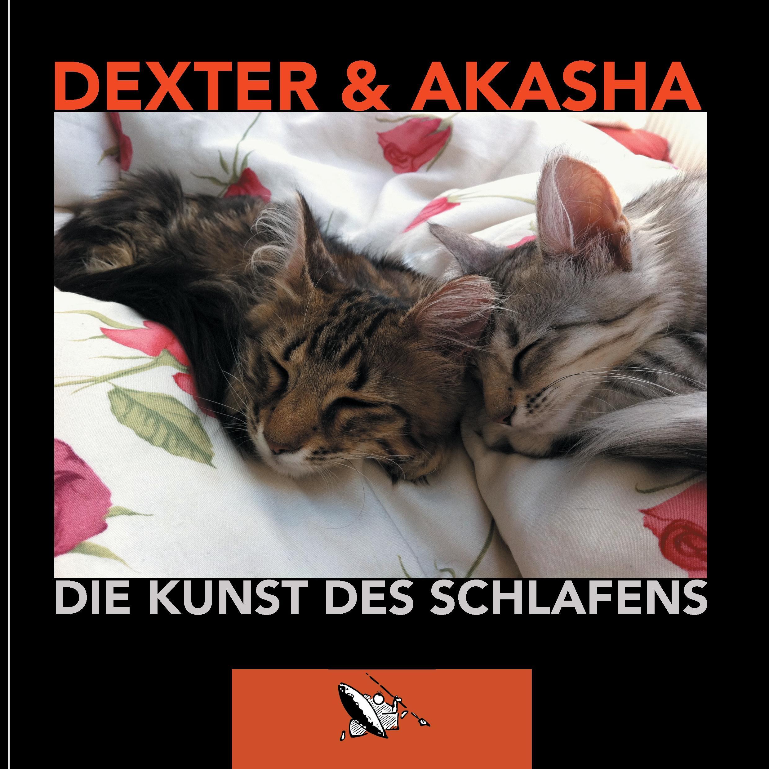 Die Kunst des Schlafens