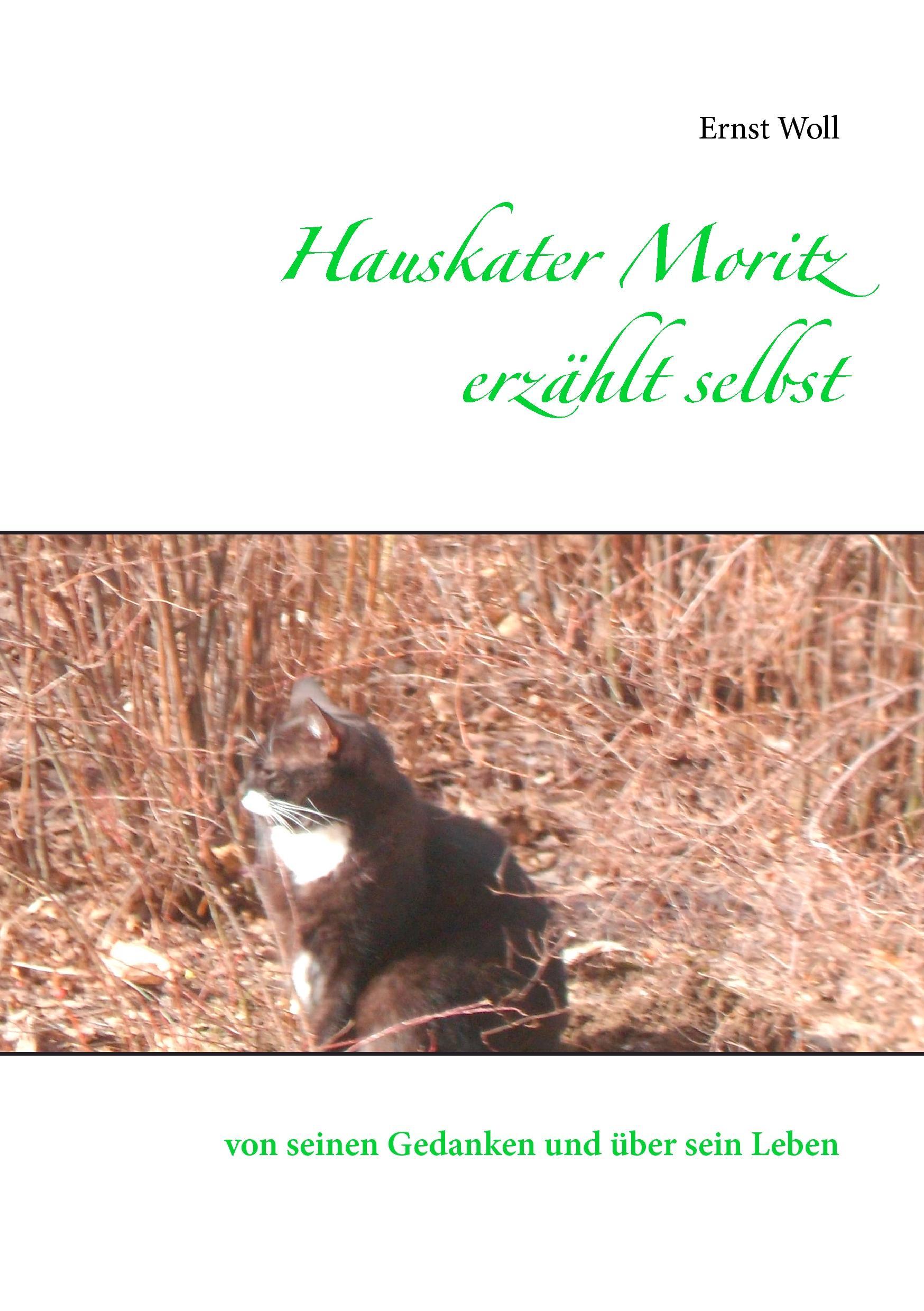 Hauskater Moritz erzählt selbst