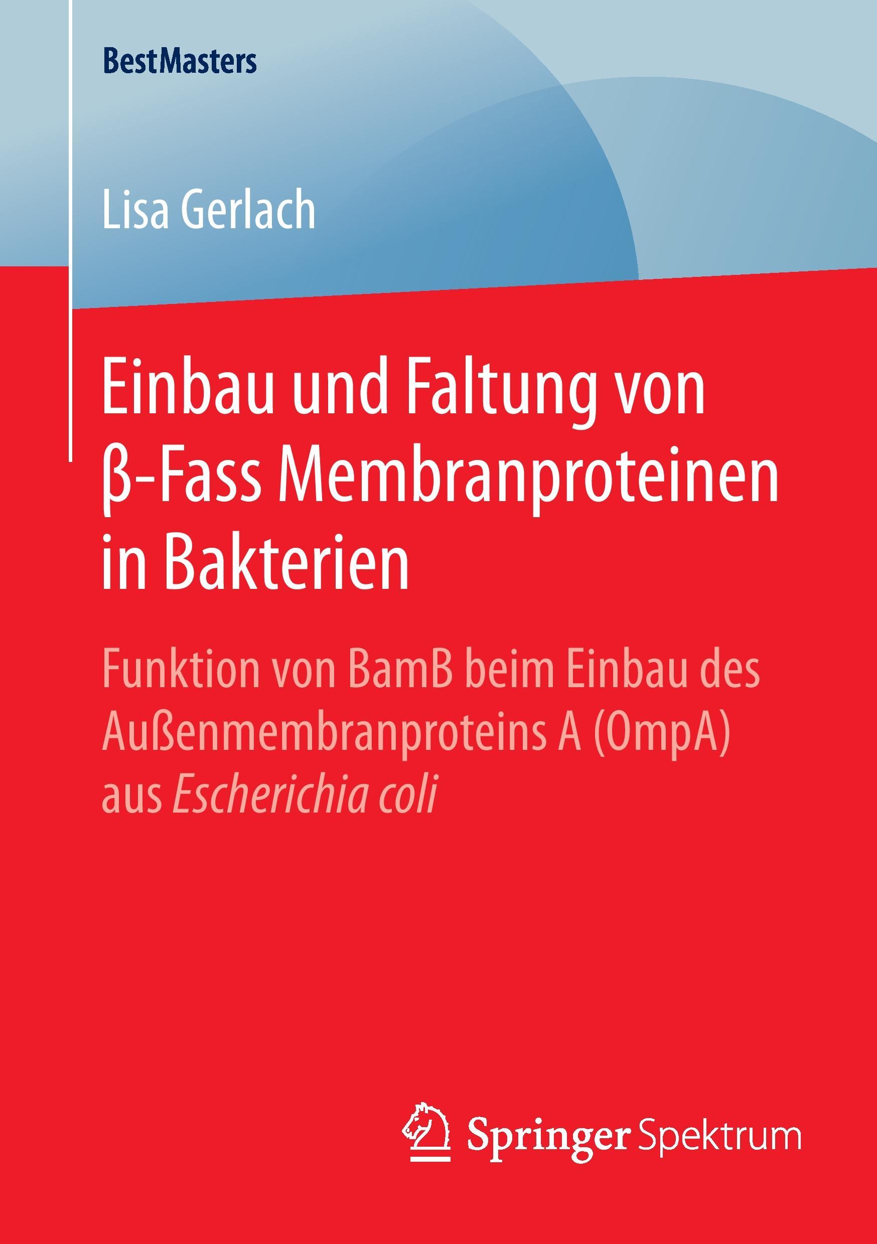 Einbau und Faltung von ¿-Fass Membranproteinen in Bakterien