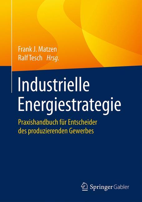 Industrielle Energiestrategie