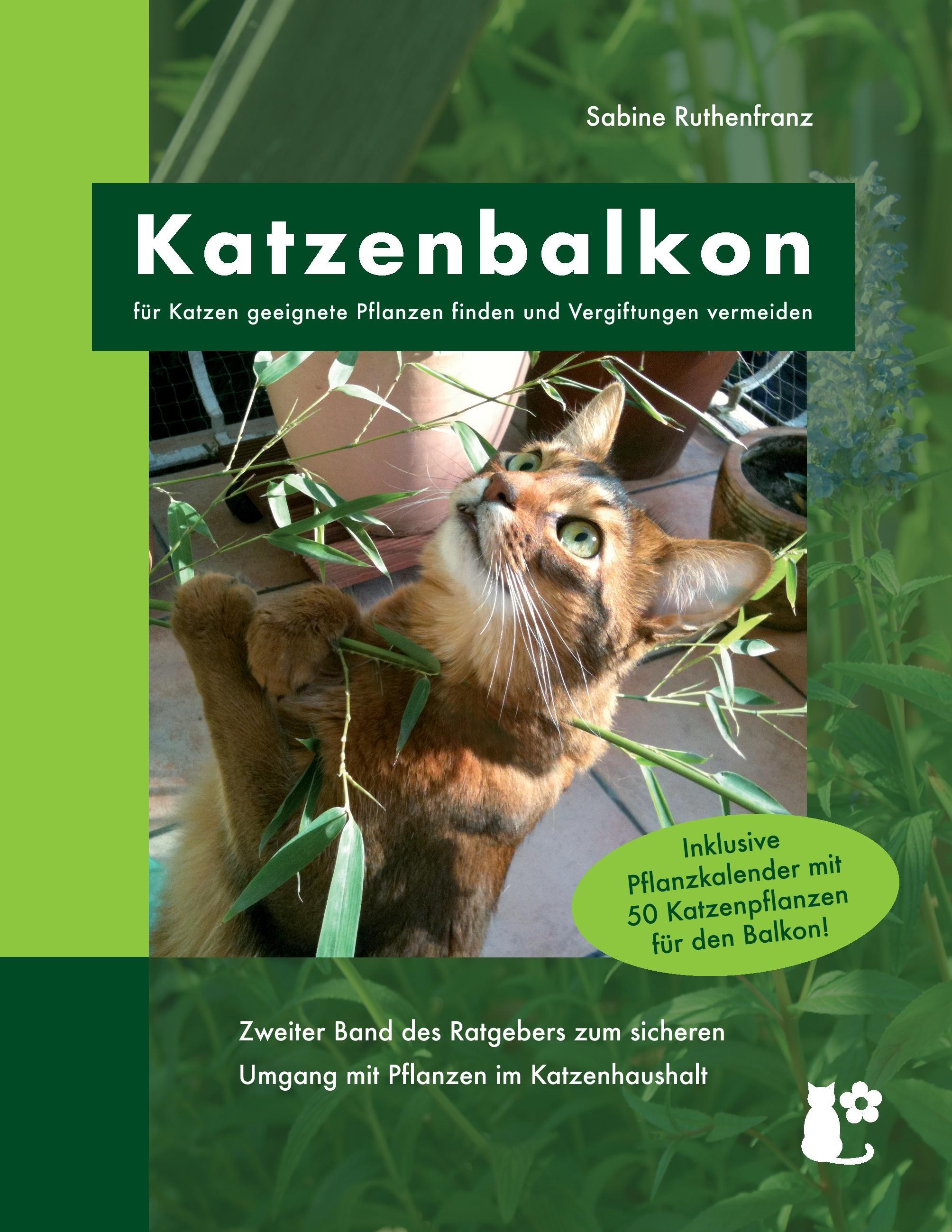 Katzenbalkon