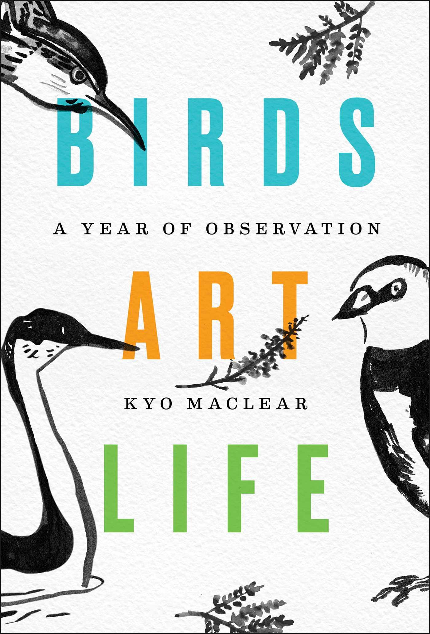 Birds Art Life: A Year of Observation