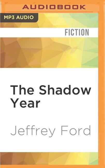 The Shadow Year