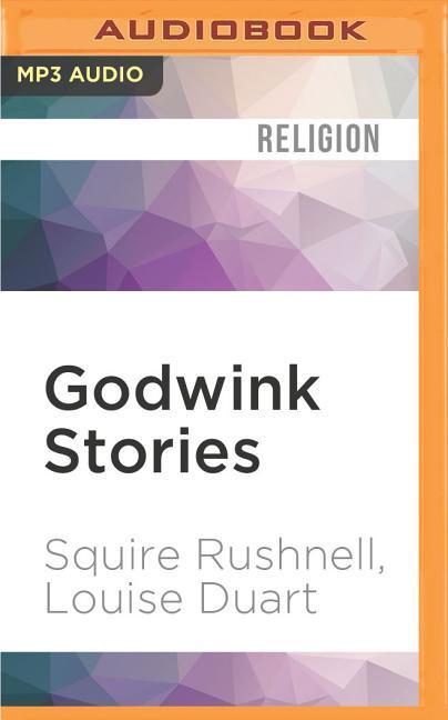 Godwink Stories: A Devotional