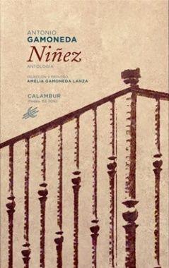 Niñez