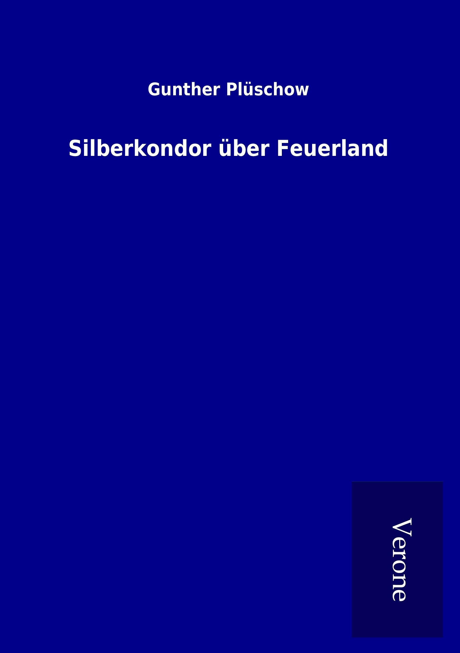 Silberkondor über Feuerland