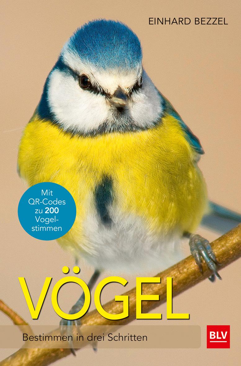 Vögel