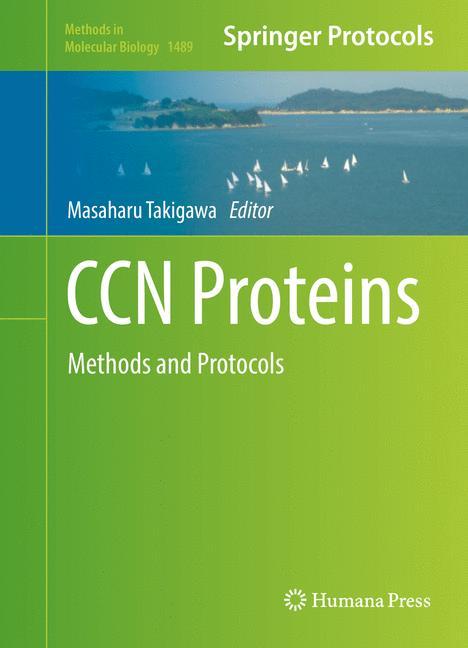 CCN Proteins