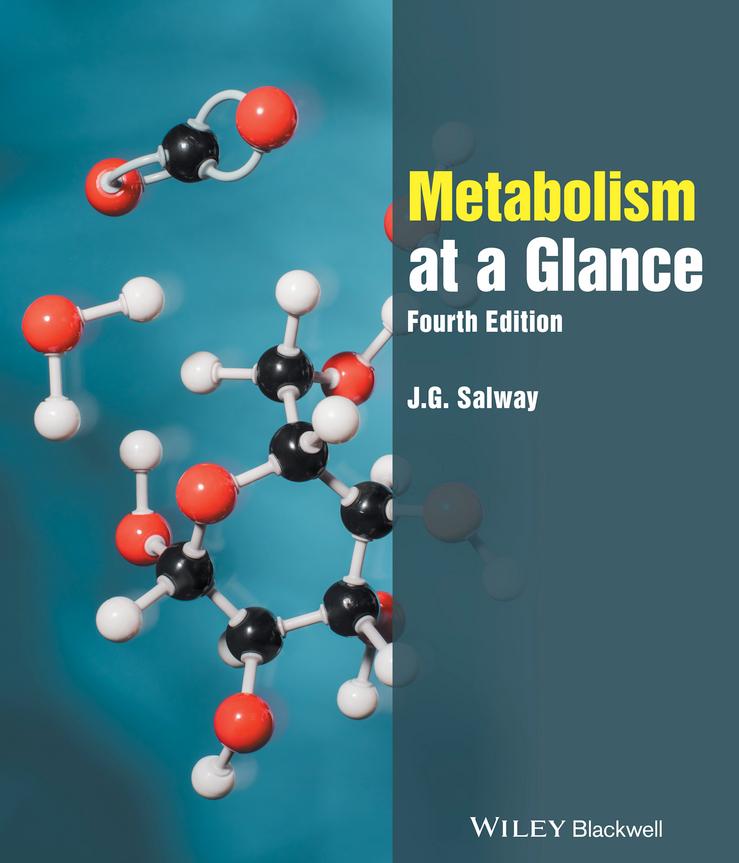 Metabolism at a Glance