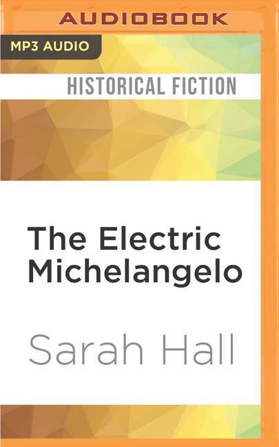 The Electric Michelangelo