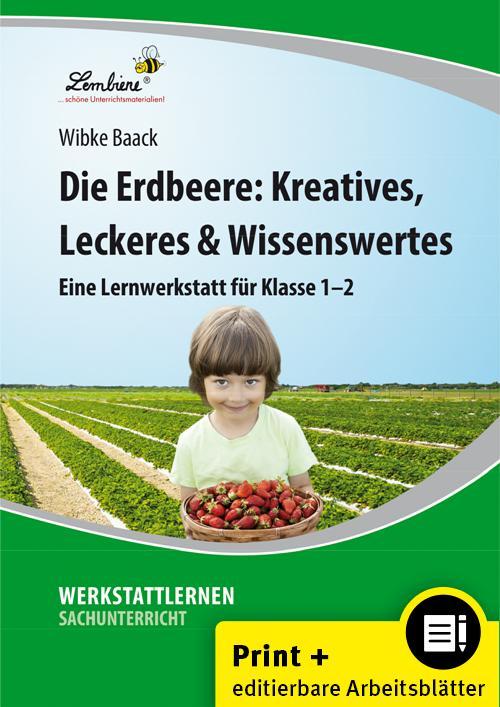 Die Erdbeere: Kreatives, Leckeres & Wissenswertes