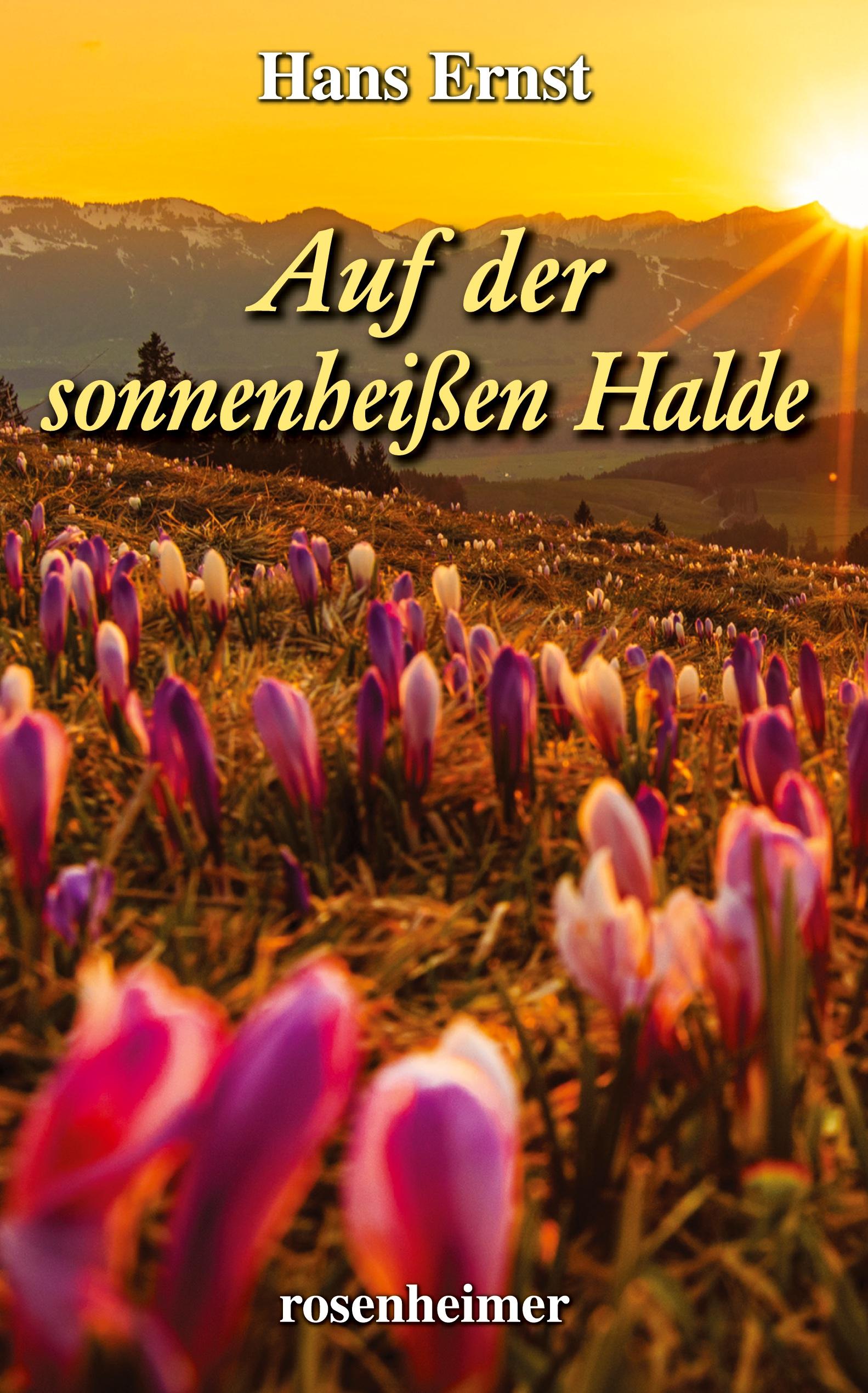 Auf der sonnenheißen Halde