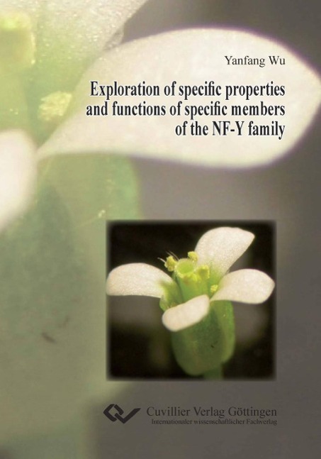 Exploration of specific properties and functions of specific members of the NF-Y family