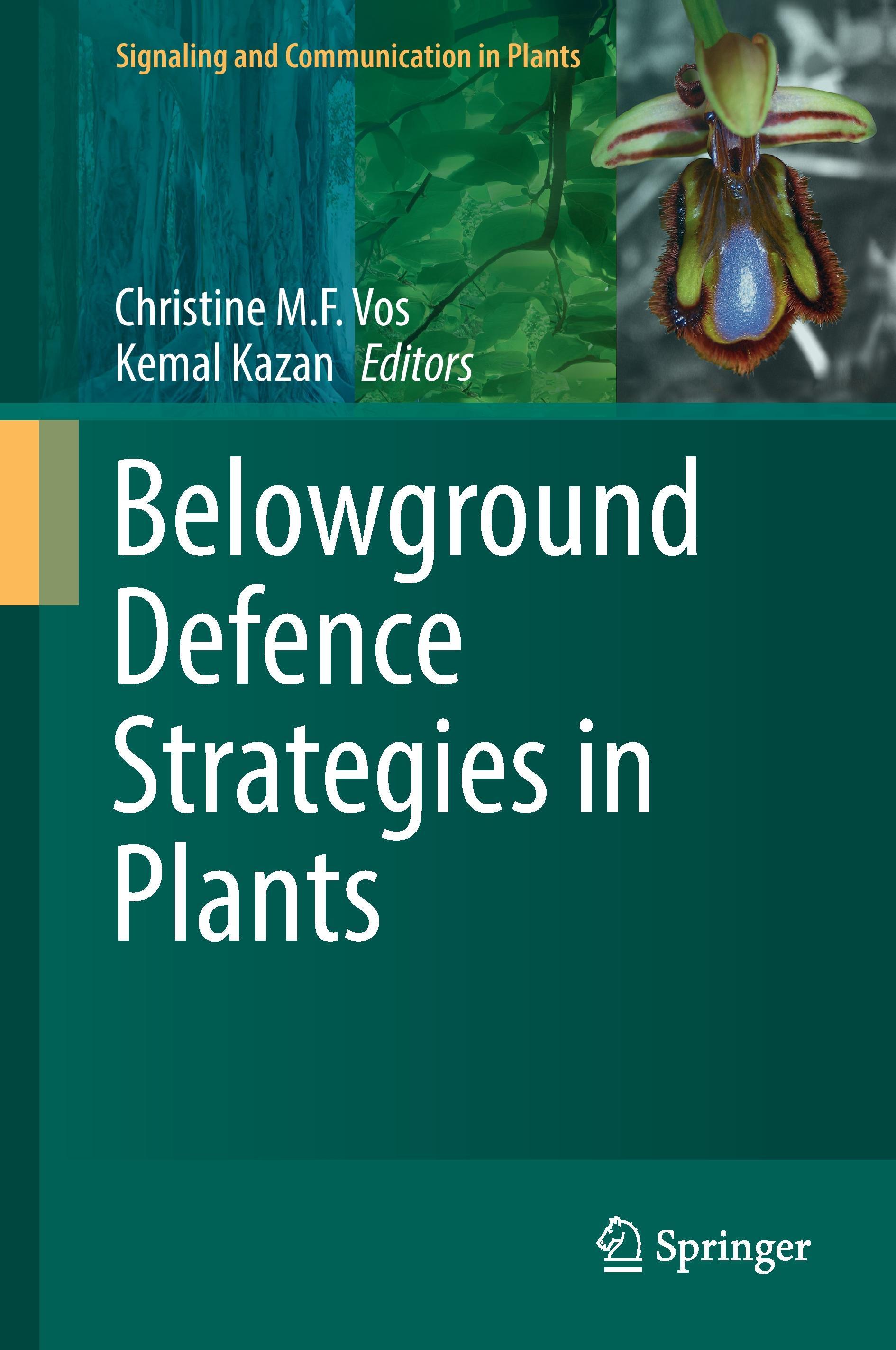 Belowground Defence Strategies in Plants