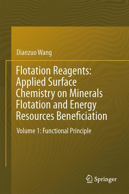 Flotation Reagents: Applied Surface Chemistry on Minerals Flotation and Energy Resources Beneficiation