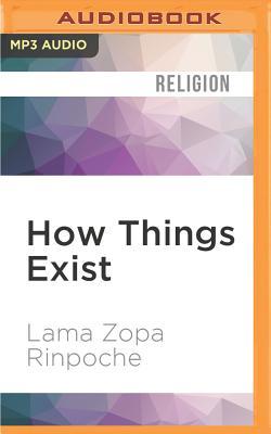 How Things Exist: Teachings on Emptiness