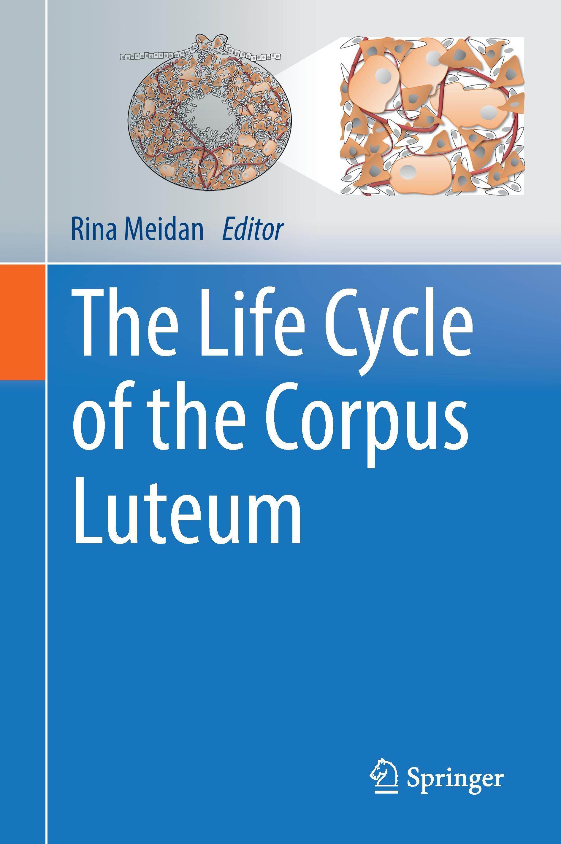 The Life Cycle of the Corpus Luteum