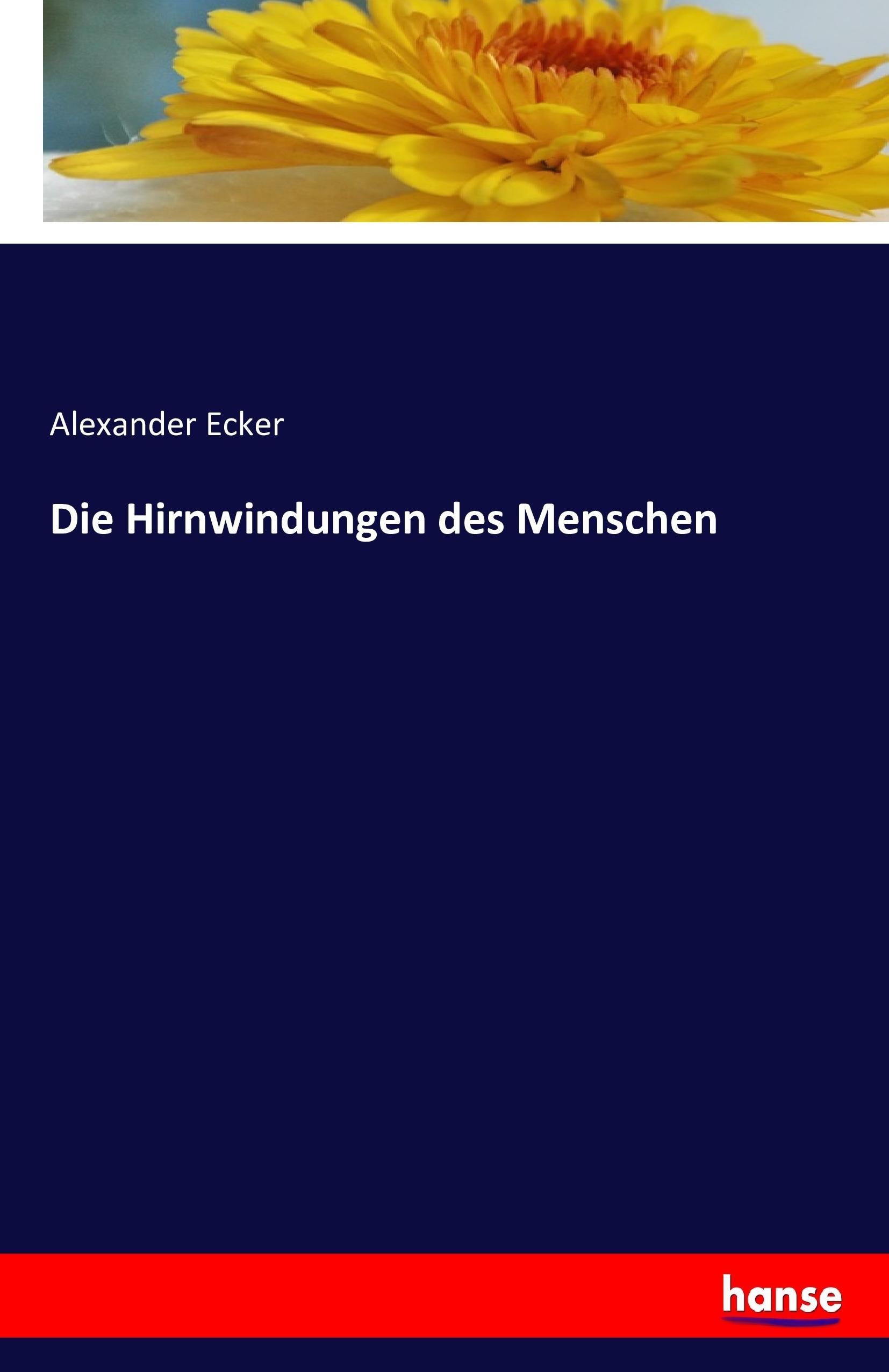 Die Hirnwindungen des Menschen