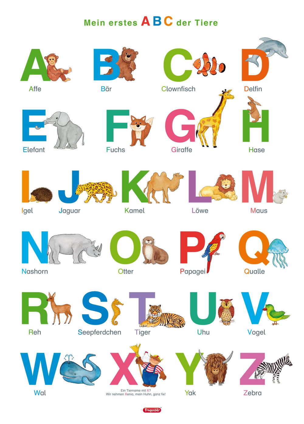 Fragenbär-Lernposter: Mein erstes ABC der Tiere, M 50 x 70 cm