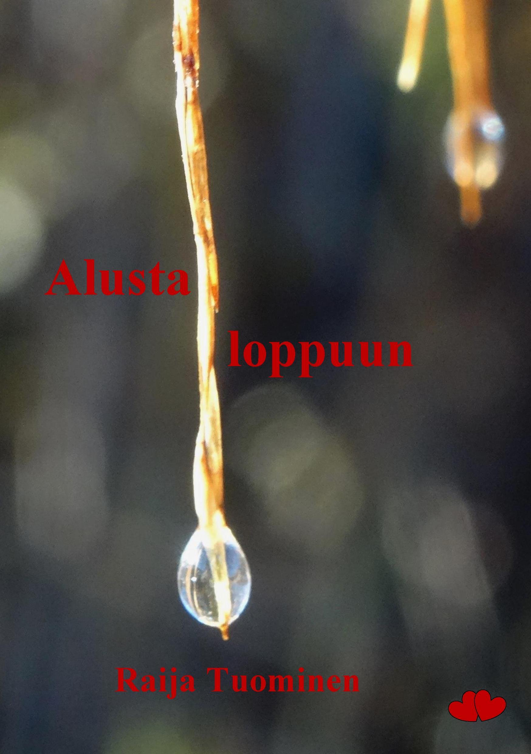 Alusta loppuun