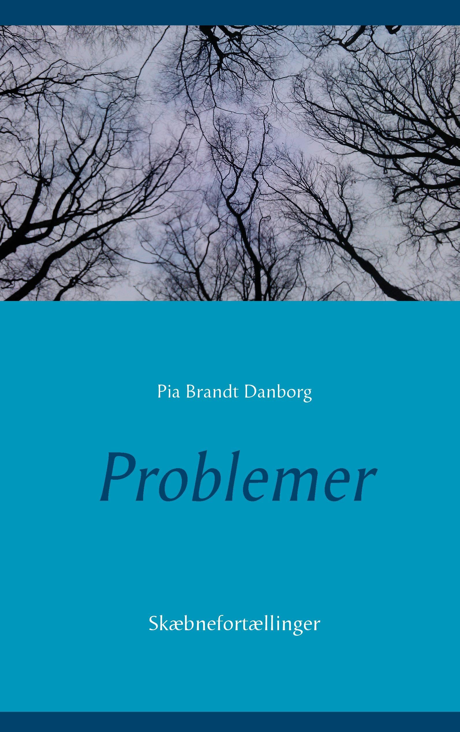 Problemer