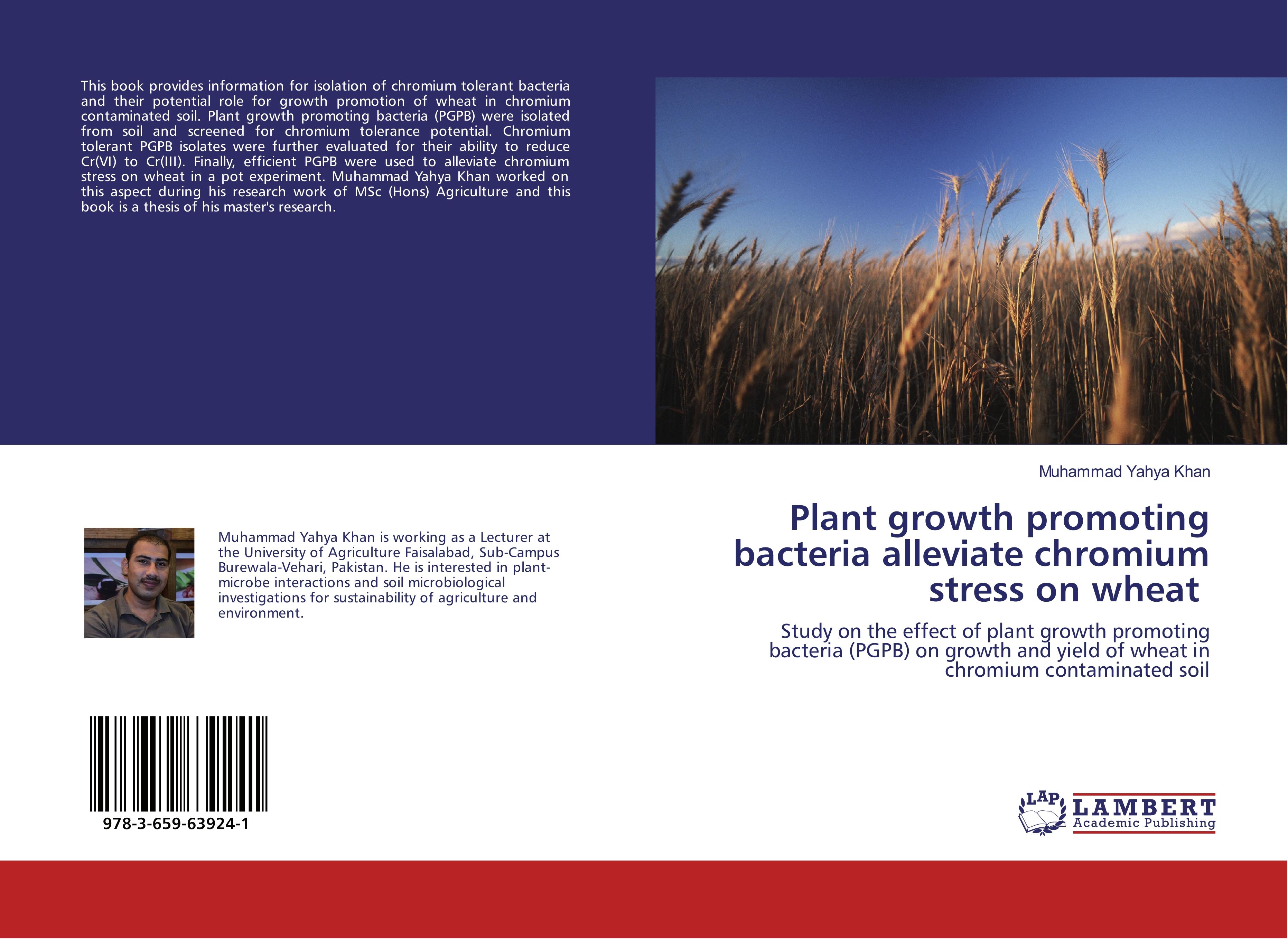 Plant growth promoting bacteria alleviate chromium stress on wheat