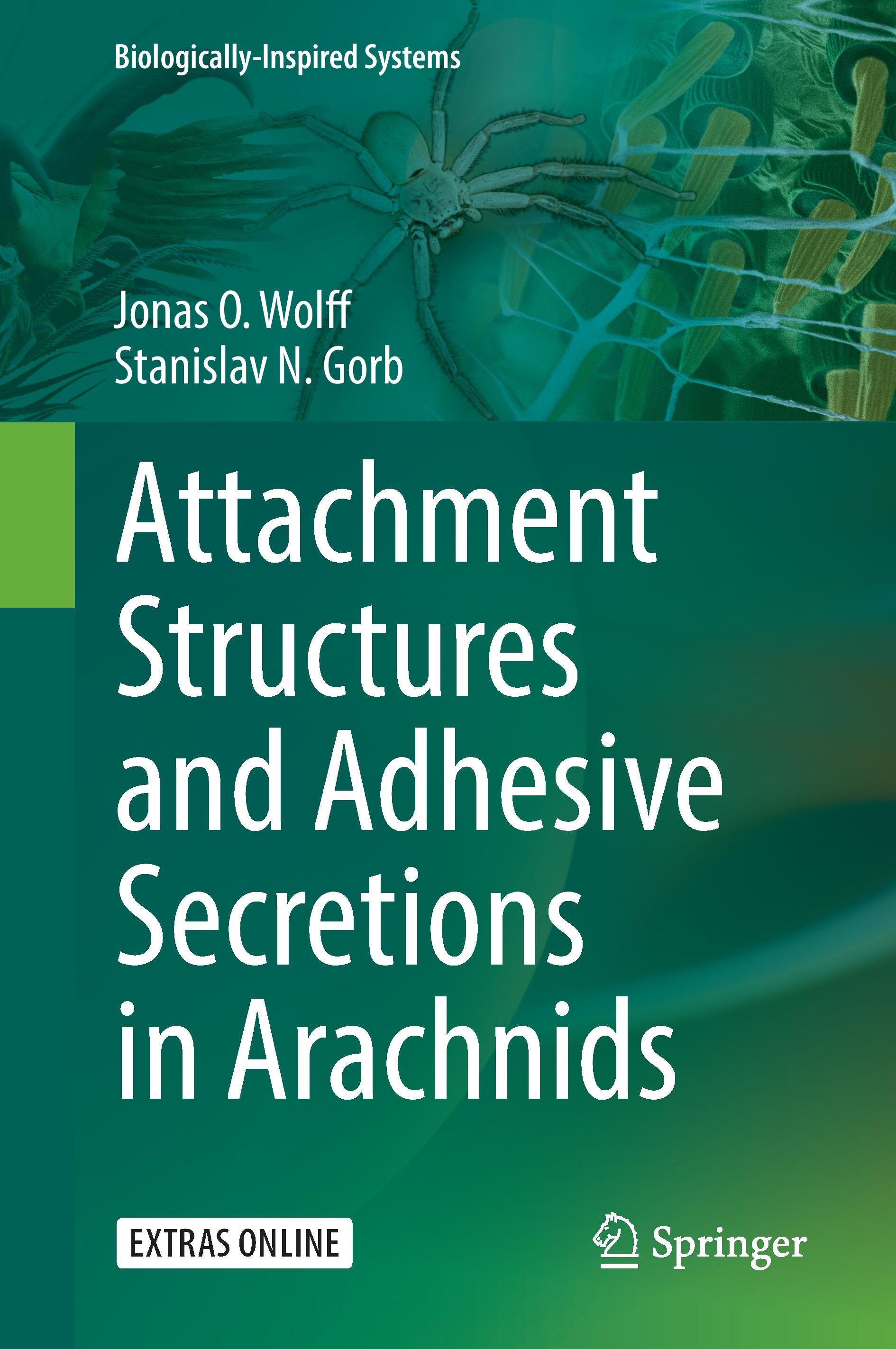 Attachment Structures and Adhesive Secretions in Arachnids