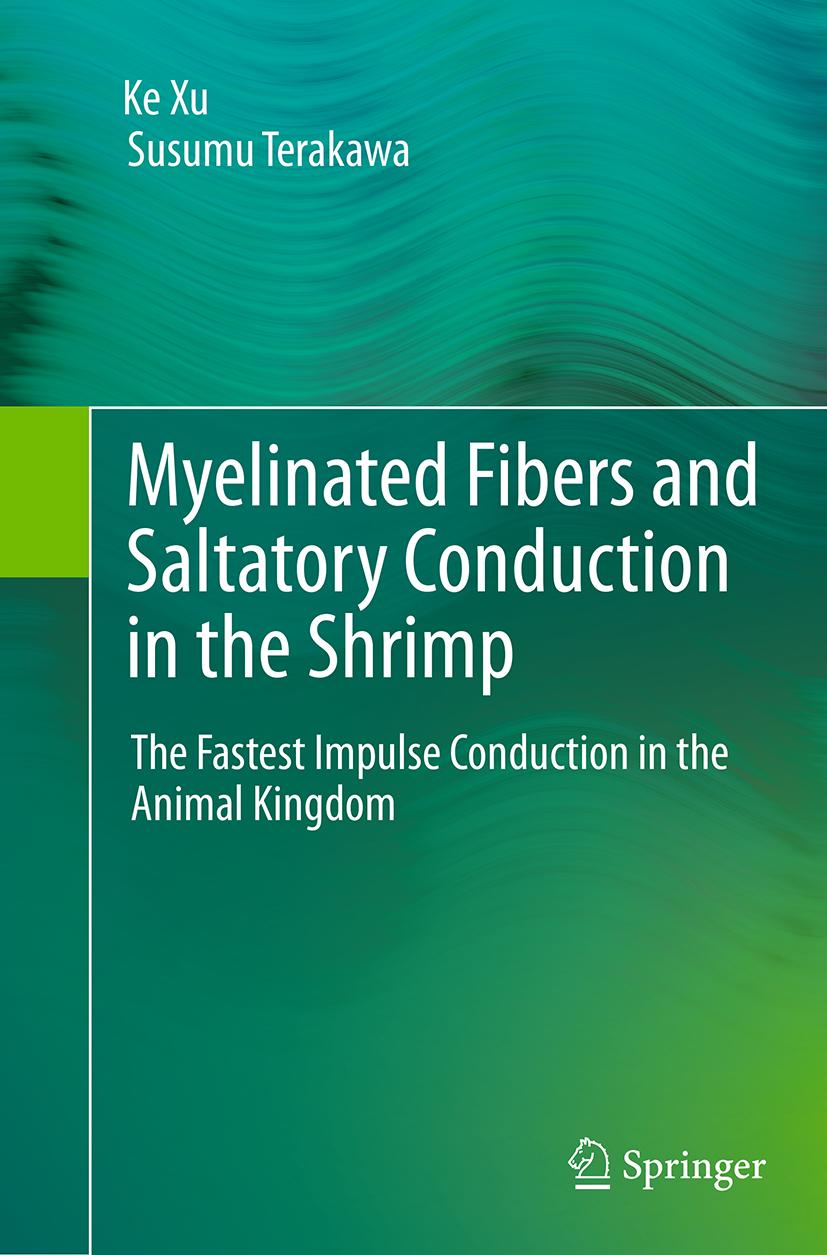 Myelinated Fibers and Saltatory Conduction in the Shrimp