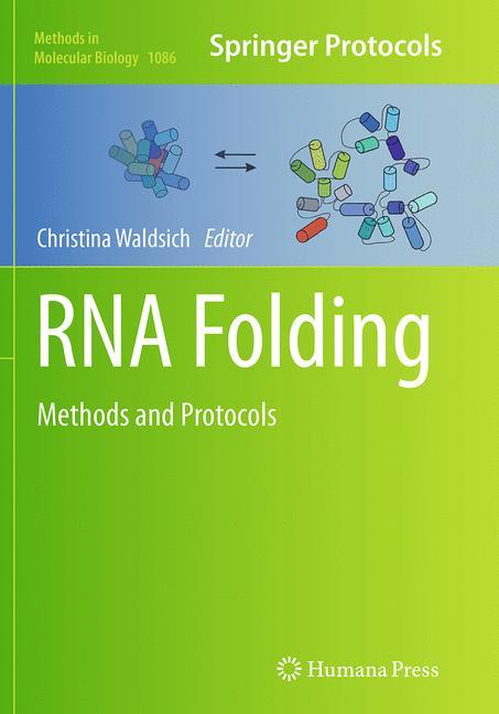 RNA Folding