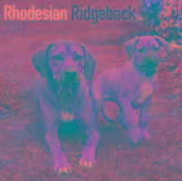 Rhodesian Ridgeback Calendar 2017