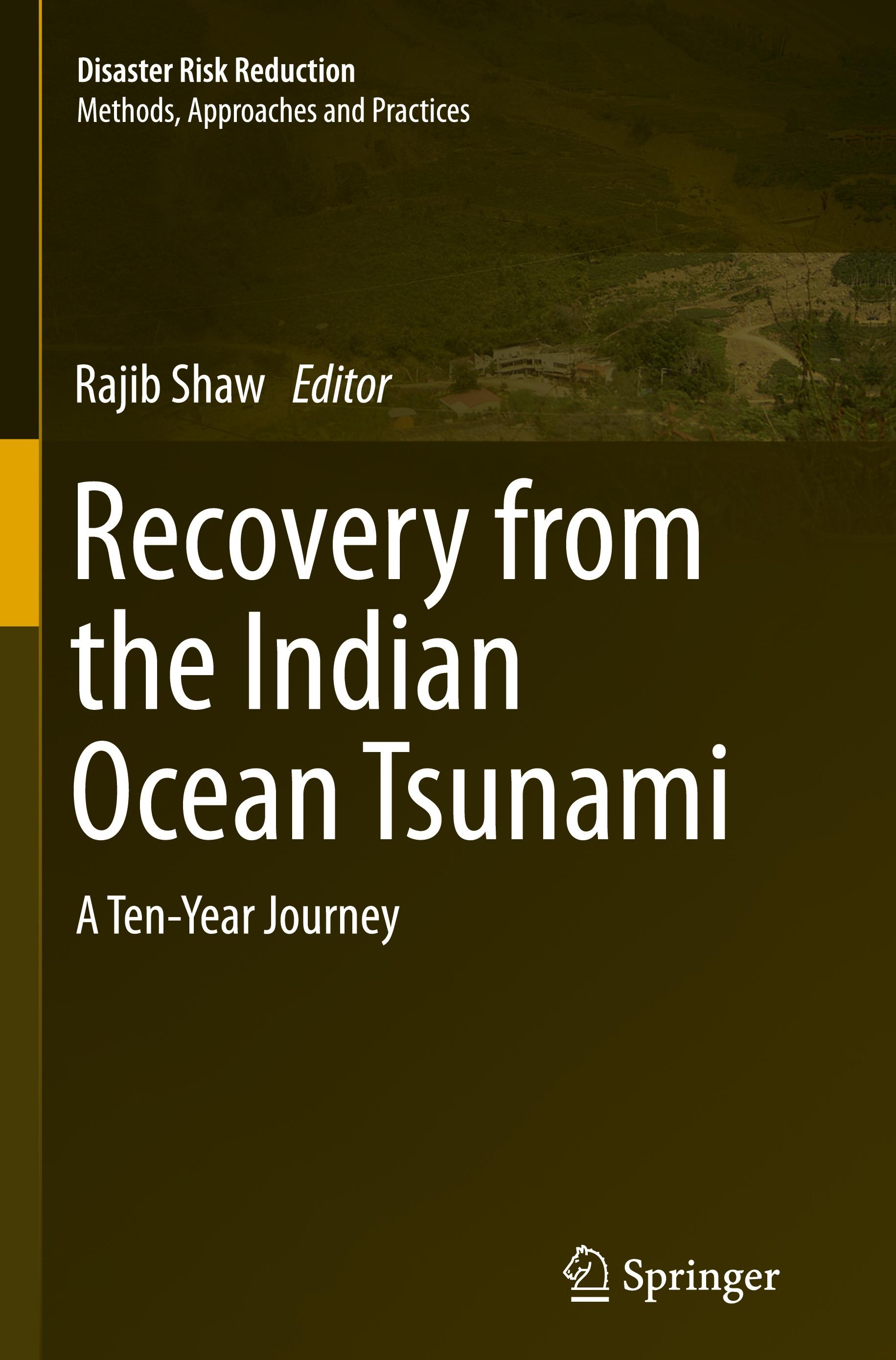 Recovery from the Indian Ocean Tsunami