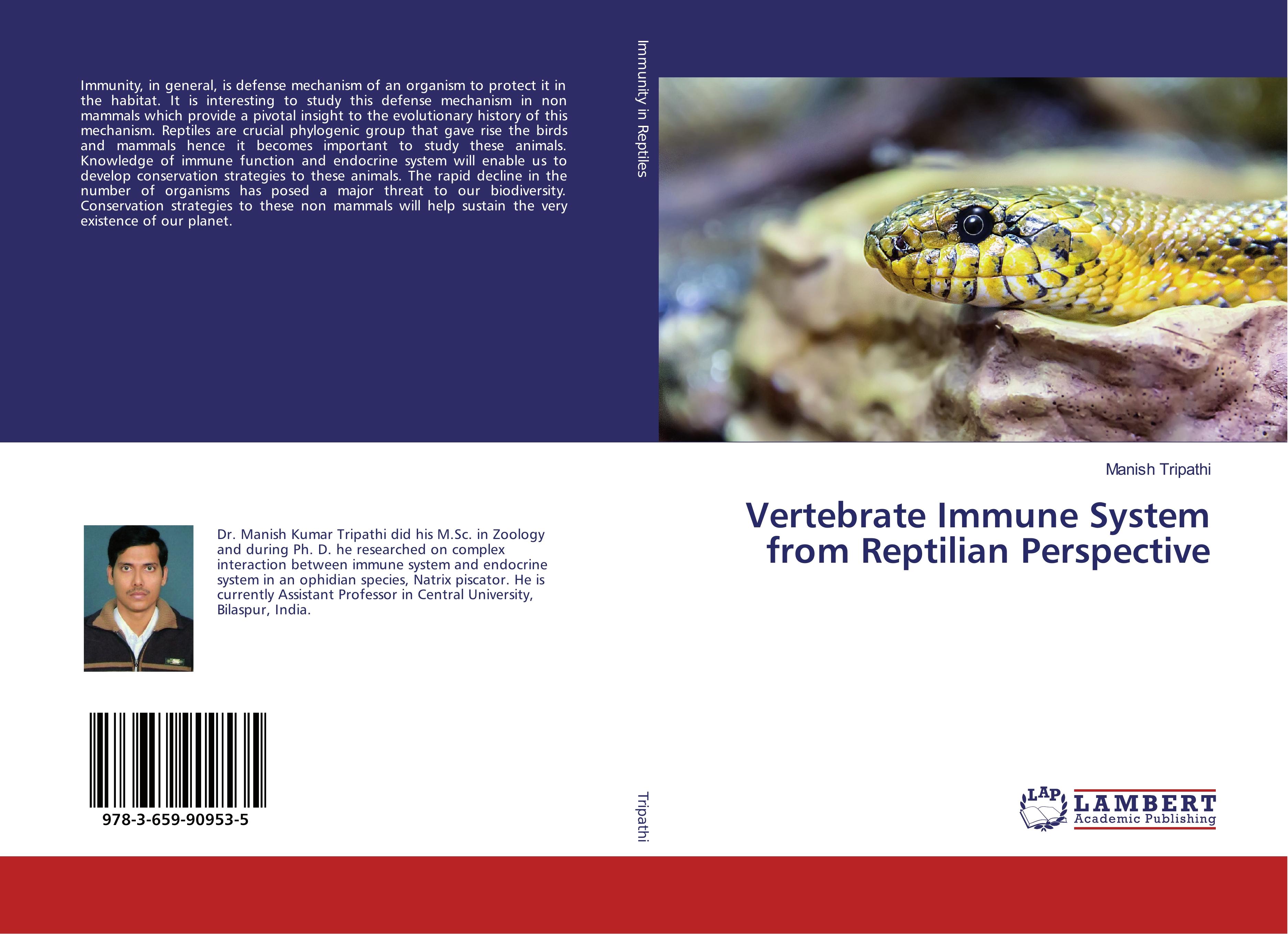 Vertebrate Immune System from Reptilian Perspective