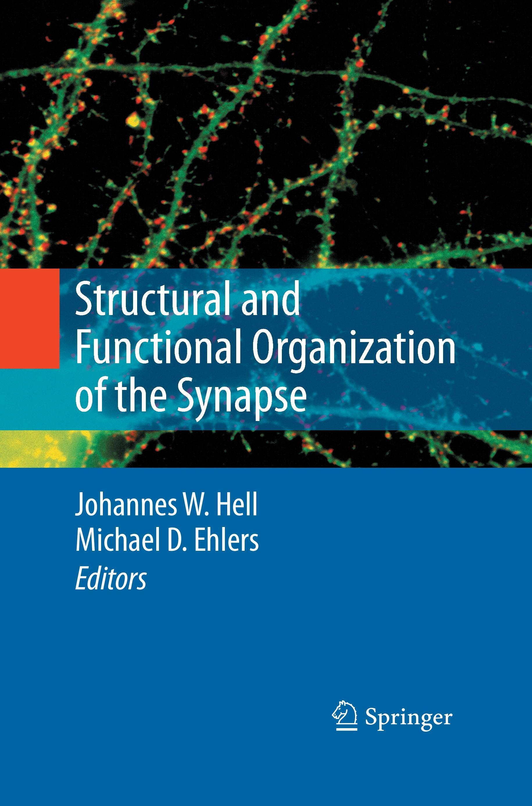 Structural and Functional Organization of the Synapse