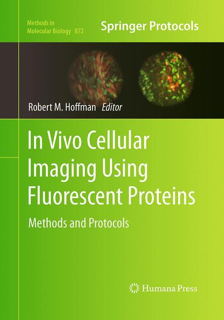 In Vivo Cellular Imaging Using Fluorescent Proteins