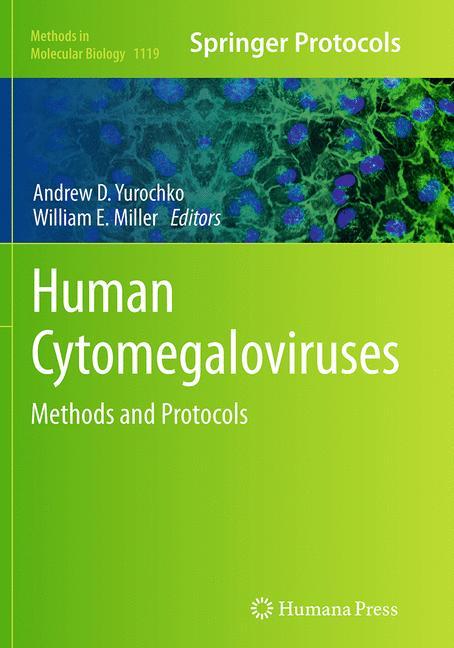 Human Cytomegaloviruses