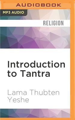 Introduction to Tantra: The Transformation of Desire