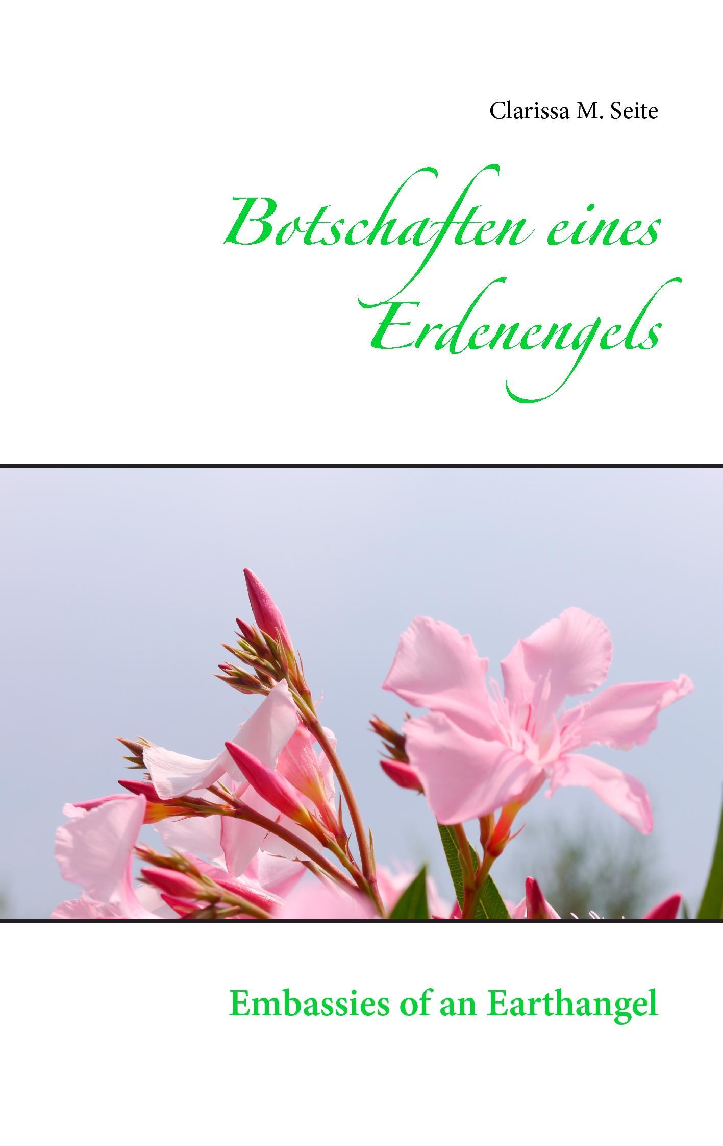 Botschaften eines Erdenengels