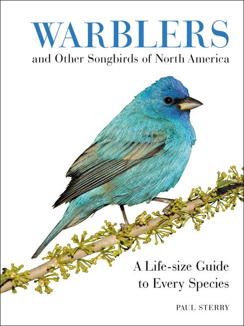 Warblers and Other Songbirds of North America