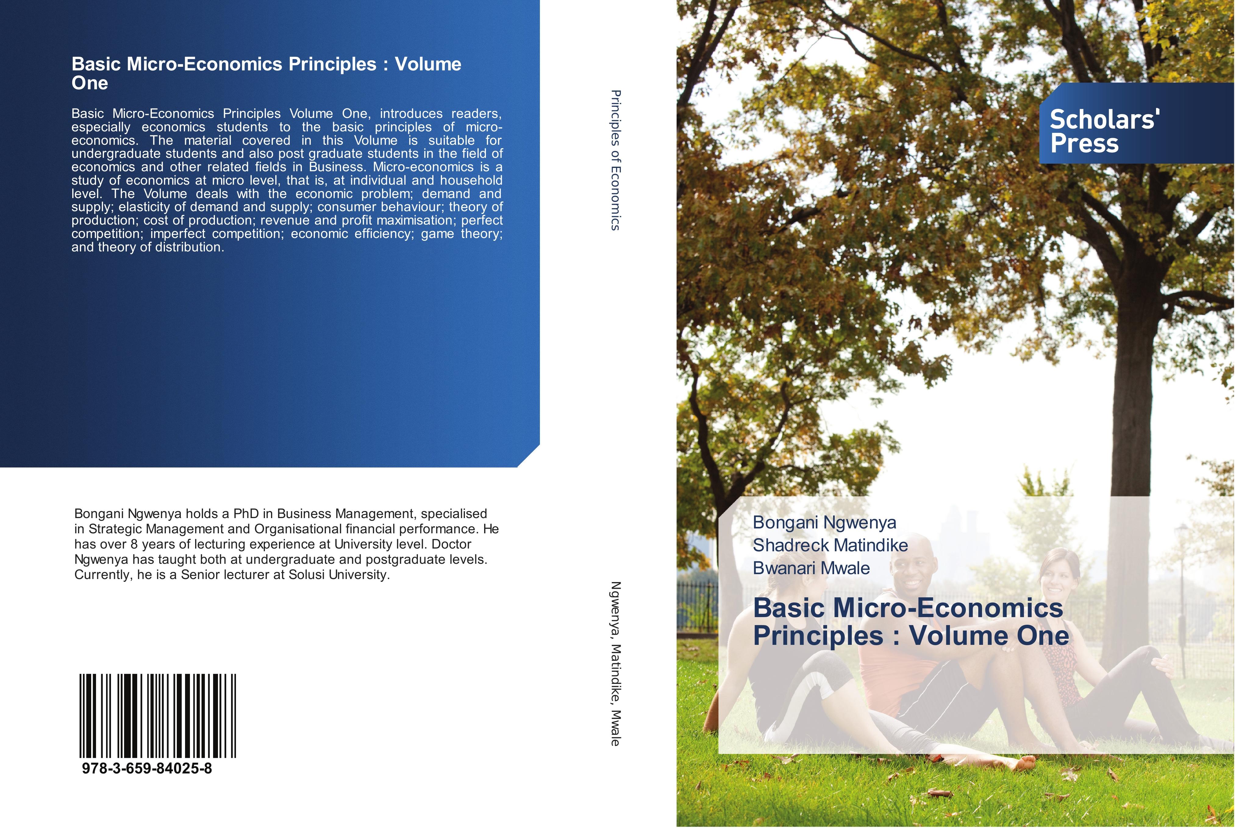 Basic Micro-Economics Principles : Volume One