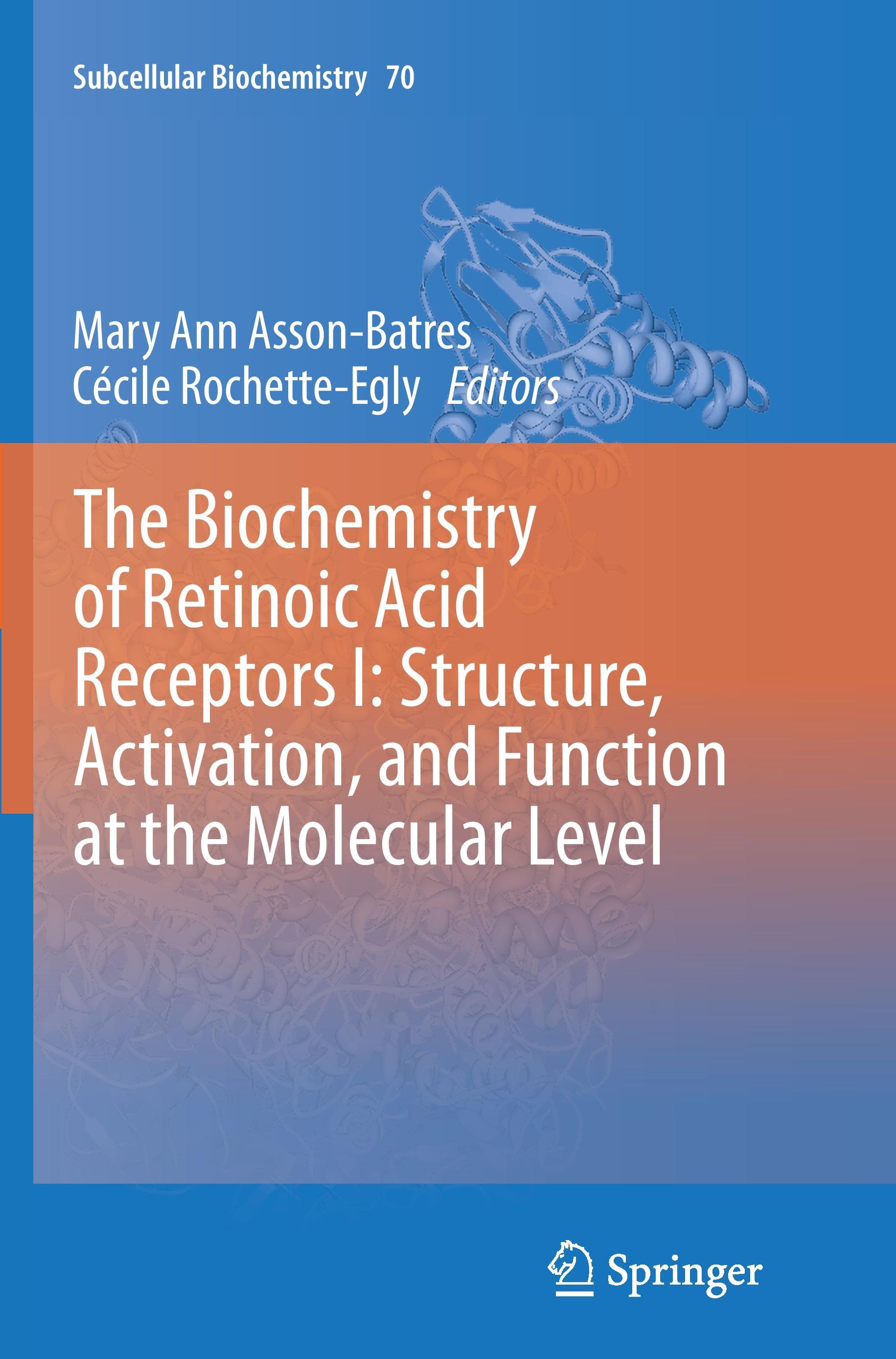 The Biochemistry of Retinoic Acid Receptors I: Structure, Activation, and Function at the Molecular Level