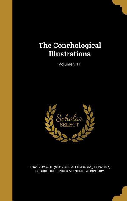 The Conchological Illustrations; Volume v 11