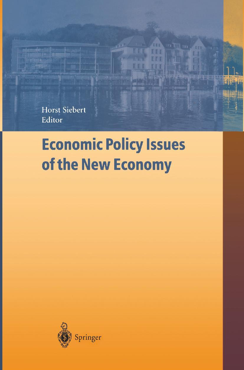 Economic Policy Issues of the New Economy