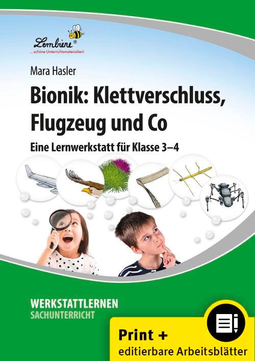 Bionik: Klettverschluss, Flugzeug und Co